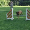 agility 2011-08